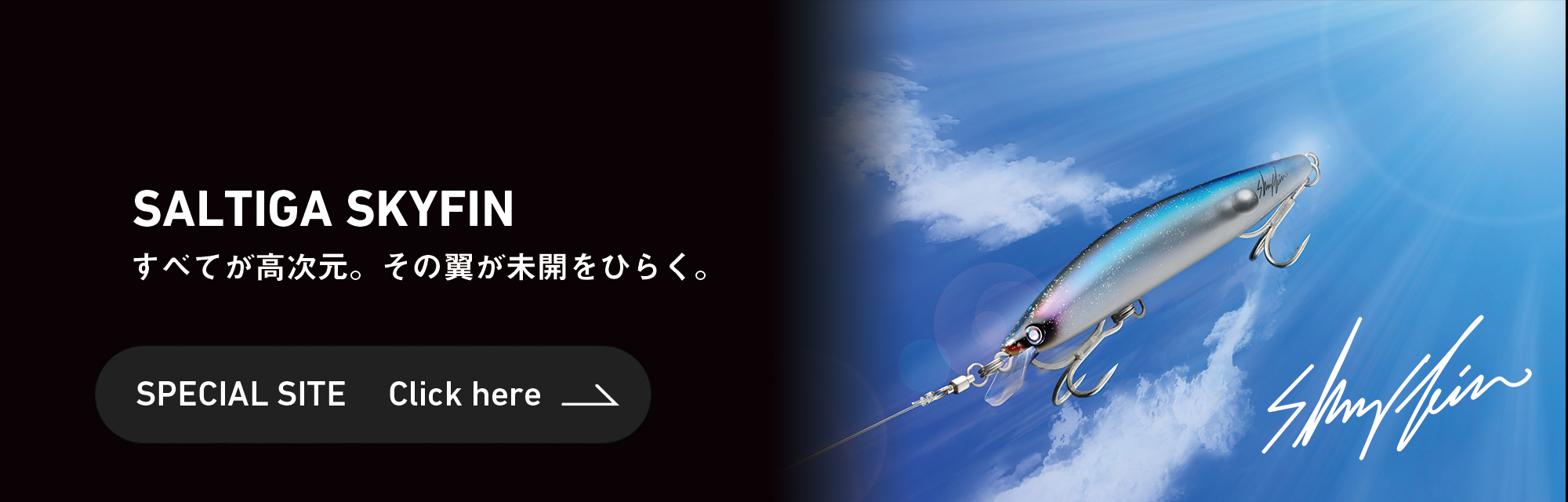 ソルティガスカイフィンのSPサイトはこちら
